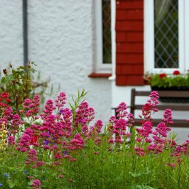 Spring Home Maintenance